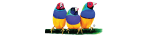 ViewSonic logo-01